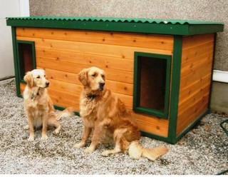 Ben & Belle - Ontario